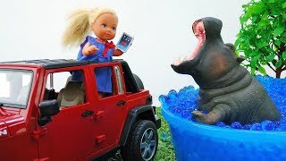 Barbie baby doll videos  Toys in Safari park [upl. by Stallworth]