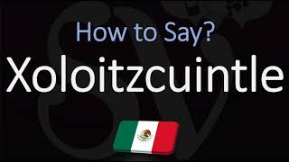 How to Pronounce Xoloitzcuintle CORRECTLY Mexican Hairless Dog Breed Name Pronunciation [upl. by Joni]