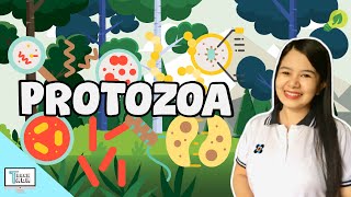 Protozoa  Protists  Biology [upl. by Jeromy]