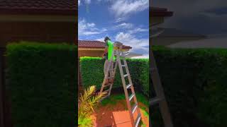 Satisfying garden work 🍀🍀GardenWork shorts gardening satisfying work gardenwork grass [upl. by Millicent]