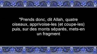 002 Sourate alBaqarah 0910 Shuraim soustitré [upl. by Atwekk]