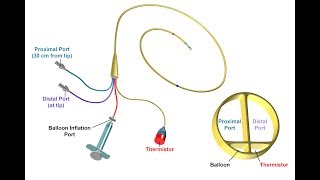 Proper Insertion and Use of a Pulmonary Artery Catheter  BAVLS [upl. by Bbor]