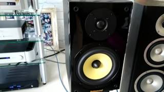 Nobsound NS20004 [upl. by Muller]