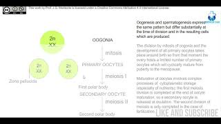 Oogenesis  Embryology amp Biology  Made easy with Animation [upl. by Etnasa]