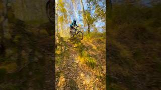 Ripping some fresh berms😍🥷 mtb enduromtb mtblife downhill [upl. by Eak174]