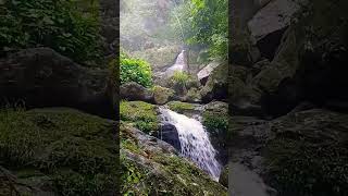 Triple Decker Living Root Bridge Cherrapunje [upl. by Nurav806]