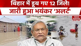 Bihar Floods News  बिहार के 12 जिलों के लिए जारी हुआ Alert बाढ़ में डूबे कई घर  Nitish Kumar [upl. by Colwell]