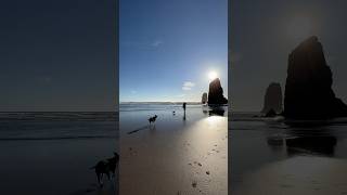 Our last stop before heading back to Portland was the famous Cannon Beach CannonBeach [upl. by Evans]