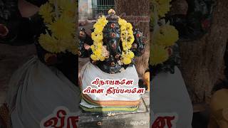 Vinaayagane vinayagar songs in tamil pillaiyar songs in tamil vinayagar songs tamil pillaiyar [upl. by Notserk]