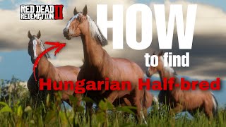 Spawn location of Hungarian Halfbred  Red dead redemption 2 [upl. by Marjie]