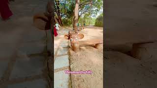 Thirumoorthy Hills amp Amaravathi Dam amp crocodile park in Udumalai  Tour idea [upl. by Ramona]