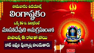 Live  LINGASHTAKAM  LORD SHIVA POPULAR STOTRAS  LORD SHIVA SONGS  Vahini Daily [upl. by Micro]