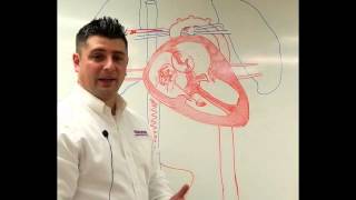 Neonatal Circulation Part 13 Preductal Sp02 [upl. by Appilihp]