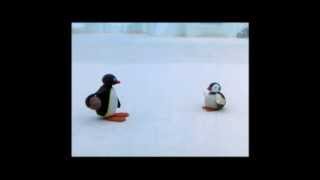 Pingu Cannot Lose Clip  Pingu Official Channel [upl. by Conger72]