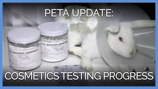 30 Years After PETA Exposed CosmeticsTesting Lab Heres How Far Weve Come [upl. by Aseel]