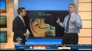 Dr David Gerson Talks Swimmers Ear [upl. by Cirdahc393]