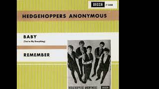 The Hedgehoppers Anonymous  Remember 1966 [upl. by Aitsirk]