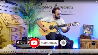 Sergio Valverde Castillo 2024 flamenco guitar for sale played by Toni Abellán [upl. by Aiynot]