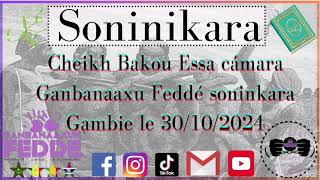 cheikh Bakou Essa cámara Ganbanaaxu Feddé soninkara Gambie le 301024 [upl. by Enimzzaj]