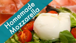 Mozzarella In Minutes  How to Make Mozzarella Cheese Quickly at Home [upl. by Neleb]