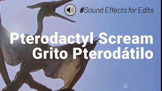 Som de Pterodátilo  Pterodactyl Sound  Sound Effects Dowload [upl. by Romelda229]