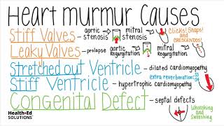 Heart murmurs for beginners 🔥 🔥 🔥 Part 1Aortic amp Mitral stenosis Aortic amp mitral regurgitation [upl. by Gnouh422]