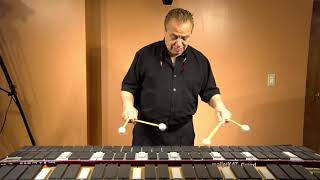 Vibraphone Sounds on the Ketron SD1000 using malletKAT v8 [upl. by Eirrek]