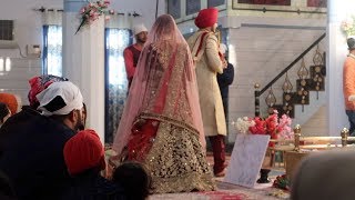 Day 5 of a Punjabi Wedding in India Main day [upl. by Attelrac]