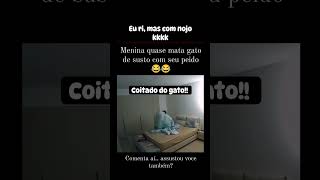 Ainda foi correndo atrás do gato como se ele tivesse culpa 😂 memes humor [upl. by Ahen]