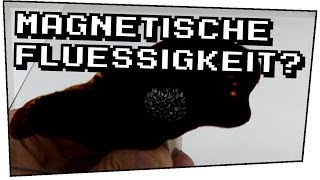 Magnetische Flüssigkeit Ferrofluid  Heimexperimente 08 [upl. by Enirol]