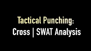 4 Chapter  Pillar 3  Cross  SWAT Analysis [upl. by Coray792]