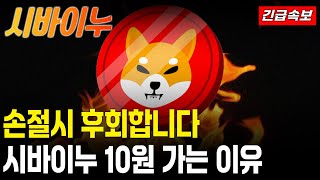 시바이누코인 전망 시바이누 손절시 무조건 후회합니다 10원 가는 이유 shib 시바이누코인 시바이누 시바이누전망 밈코인 비트코인 이더리움 도지코인 [upl. by Otrebliw]