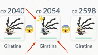 ✨shiny giratinas trio battle in Pokemon go Shiny giratina battle shinygiratina vival pokemongo [upl. by Qerat]