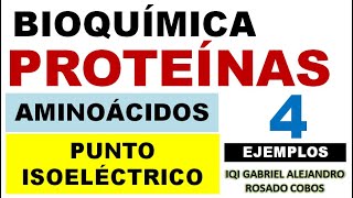 Proteínas Punto isoeléctrico de Aminoácidos Parte 4 Ejercicio utilizando pH y pKa [upl. by Boucher]