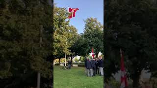 UN GRUPO DE EX SOLDADOS DANESES IZANDO LA BANDERA 🇩🇰 denmark horsens soldados guerra [upl. by Inava]