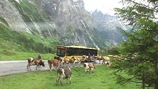 Crossing the Grosse Scheidegg pass [upl. by Silvestro]