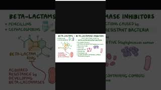 Mechanism of action of beta lactam antiobiotics  Medicinal Chemistry  Shorts  genericmedicine [upl. by Wehhtam]