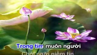 Về Dưới Đài Sen  Karaoke Nhạc chế lời [upl. by My]