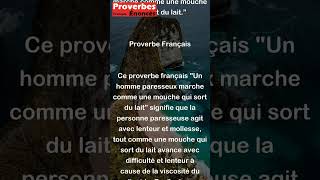 Proverbe Français  Un homme paresseux marche comme une mouche qui sort du lait shorts [upl. by Furey]