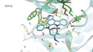 Cyclindependent kinase 2 in complex with Staurosporine [upl. by Ennaegroeg]