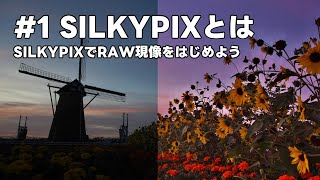 SILKYPIXでRAW現像をはじめよう 1 SILKYPIXとは [upl. by Perren732]