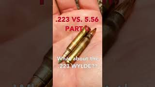 223 vs 556 Part II what about the 223 Wylde wylde short shorts shortvideo shortsvideo [upl. by Nugesulo786]