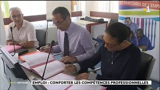 Emploi  conforter les compétences professionnelles [upl. by Neehsar]