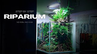 RIPARIUM BUILD VIDEO  STEP BY STEP  AQUASCAPING TUTORIAL  NO CO2 [upl. by Rehprotsirhc]