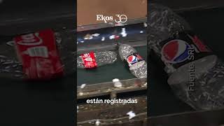 Recicladoras reciben devolución de impuestos [upl. by Josey734]