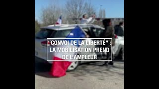 quotConvoi de la libertéquot  la mobilisation prend de lampleur [upl. by Notsirb]