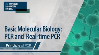 Basic Molecular Biology PCR and RealTime PCR – Principle of PCR [upl. by Lednahs119]