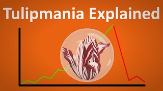 Tulipmania When a Single Tulip Could Buy You a House [upl. by Esinel]