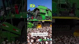 What Makes This Cotton Harvester So Efficient [upl. by Royo]