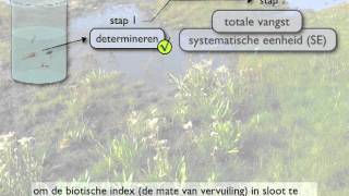 systematische eenheid en biotische index [upl. by Karon]